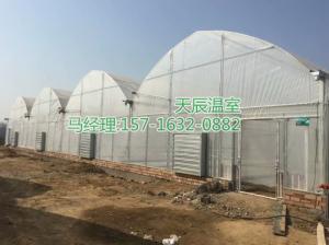棚膜連棟大棚